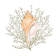 Pacific Bliss Massage and Nails logo